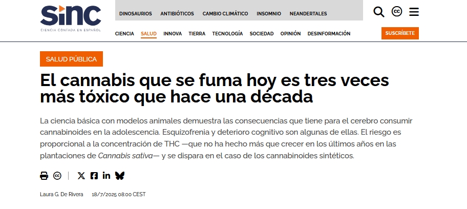 El cannabis es tres veces más tóxico que hace una década